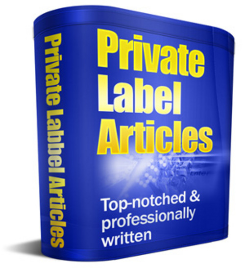 Product picture Professional 1500 PLR Article
